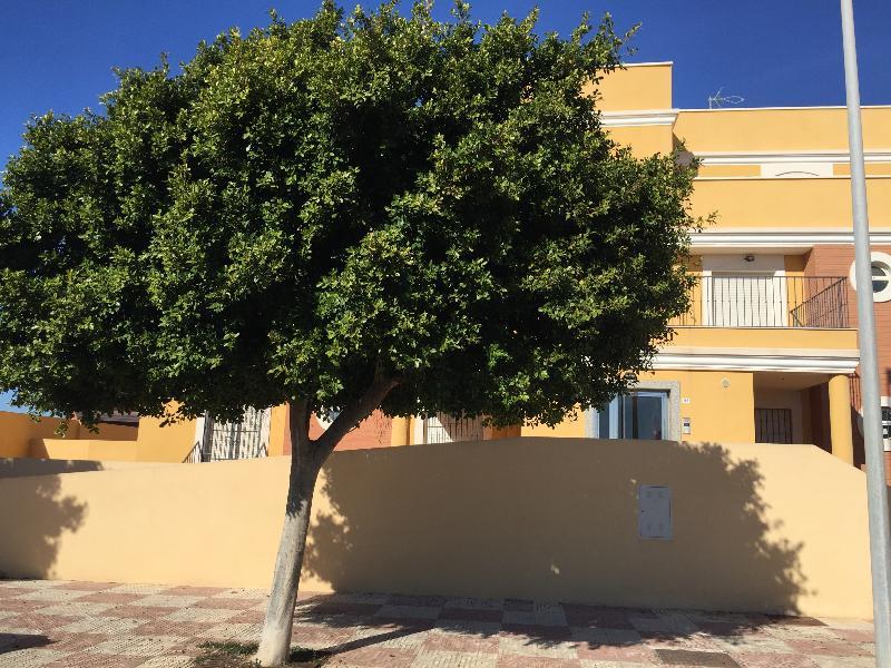 Apartamentos Playamar Roquetas de Mar Kültér fotó